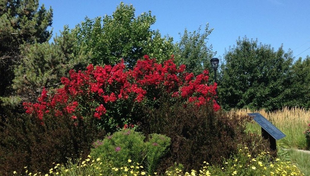 Dyck Arboretum of the Plains, United States